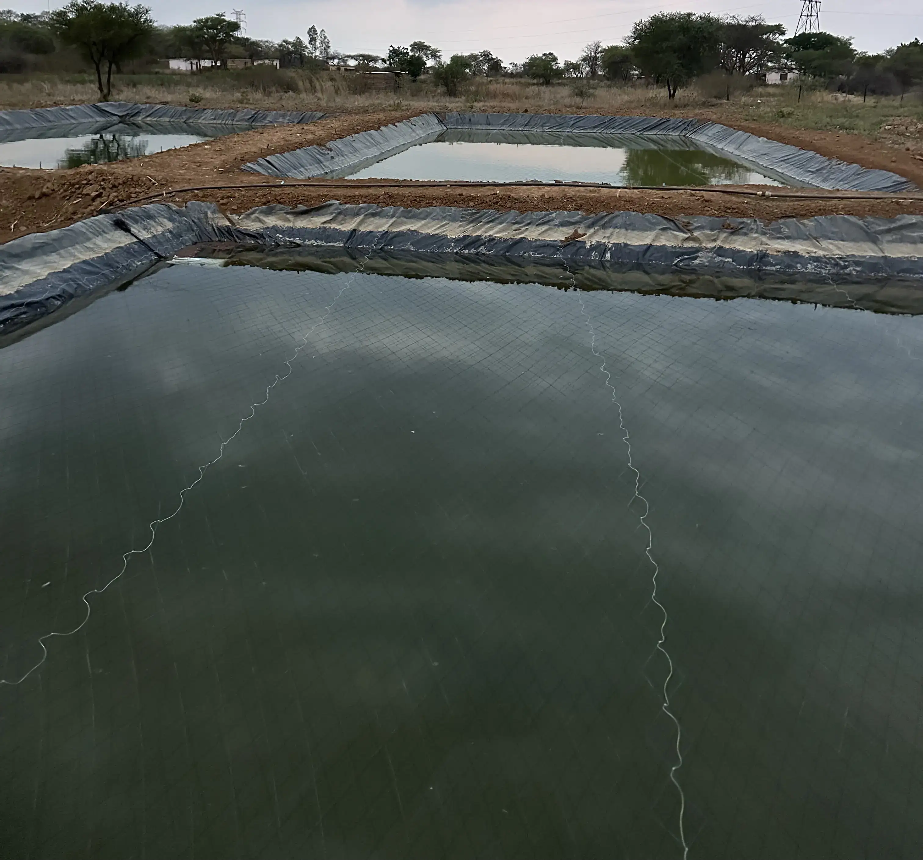 Finished lined ponds full of water with bird and predator nets over them